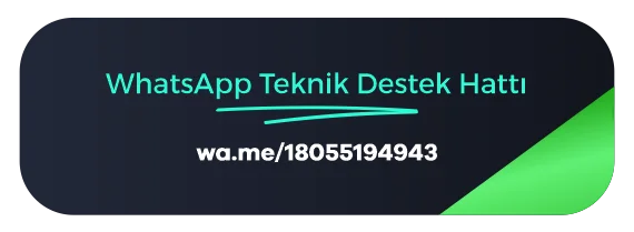 1755358365529.webp